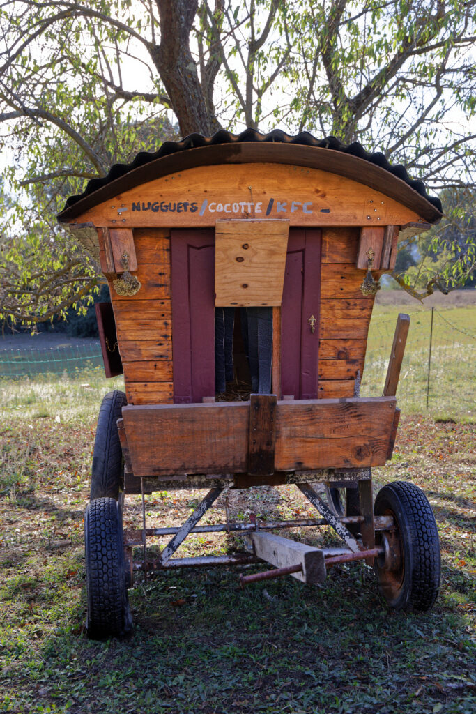 roulotte poules - poulailler recycle art - recup art - joeldecaix